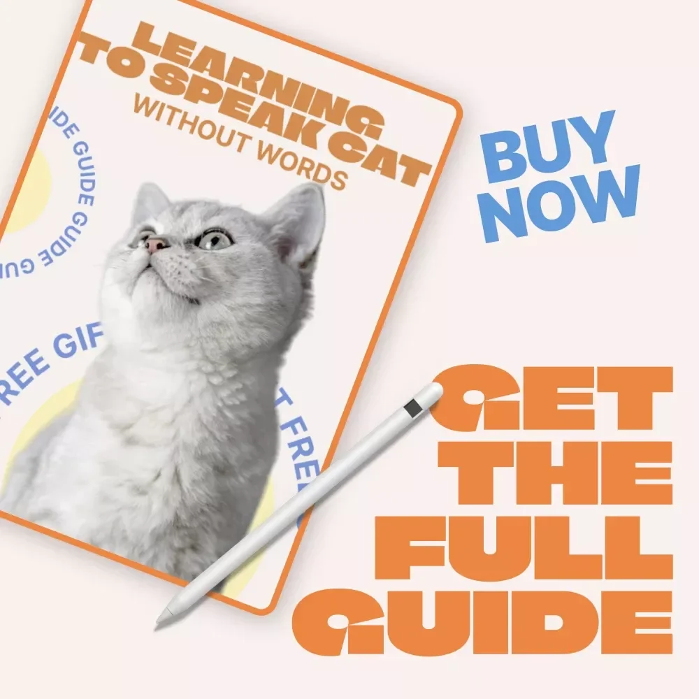 Learning to Speak Cat Without Words – Practical Guide to Understanding Cat Behavior Signals, Decode Feline Body Language, Stress Signs & Daily Communication