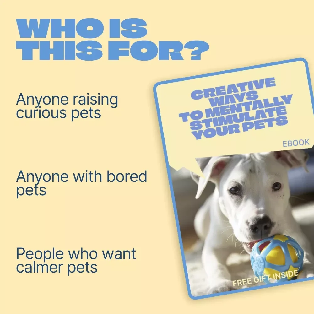 Creative Ways to Mentally Stimulate Your Pets | Practical Ebook Guide for Mental Stimulation for Pets | Fun Brain Games, Enrichment Ideas & Smart Training Activities