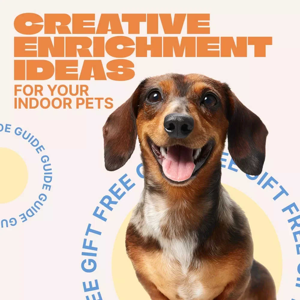 Creative Enrichment Ideas for Your Indoor Pets | Printable Guide for Happy, Stimulated Pets | Enrichment Ideas Indoor Pets