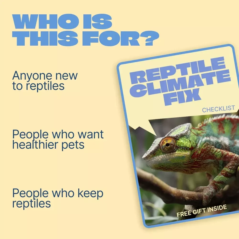 Reptile Climate Fix – Temperature and Humidity for Reptiles Checklist | Easy Habitat Setup Guide for Healthy Reptiles