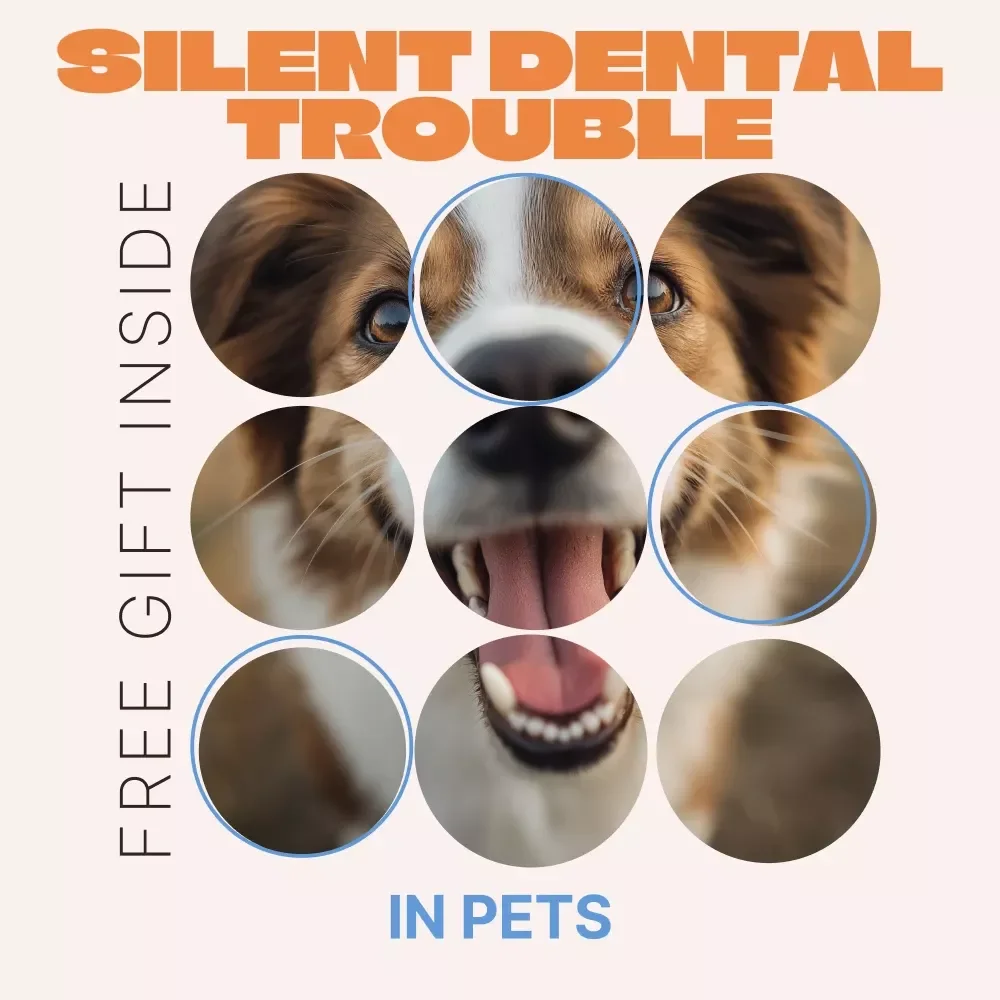 Silent Dental Trouble in Pets | eBook Guide to Early Detection, Vet-Backed Insights & pet dental problems signs Checklist