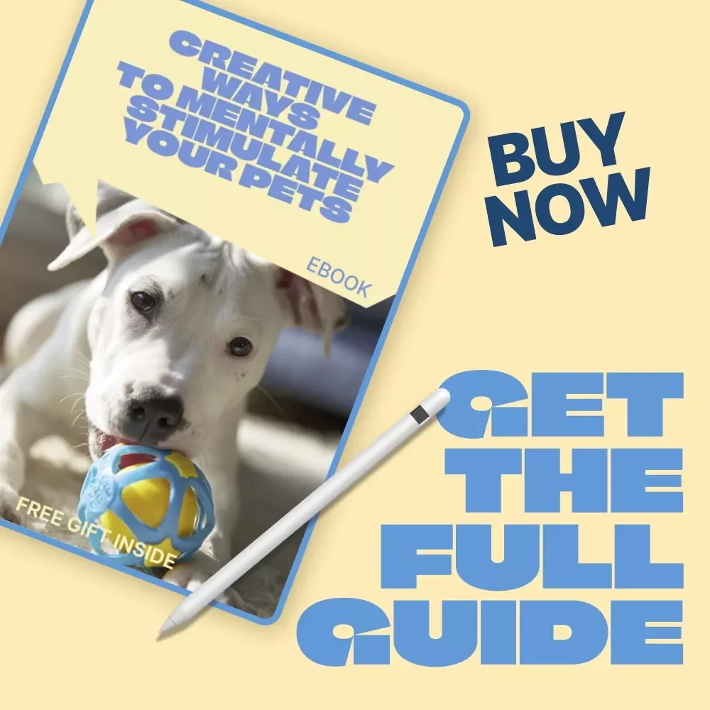 Creative Ways to Mentally Stimulate Your Pets | Practical Ebook Guide for Mental Stimulation for Pets | Fun Brain Games, Enrichment Ideas & Smart Training Activities