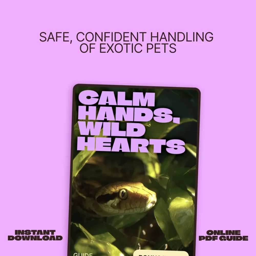 Calm Hands, Wild Hearts – A Practical Guide to Safe Handling Exotic Pets for Confident, Responsible Owners