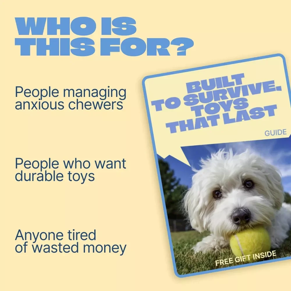 Built to Survive, Toys That Last | Practical Guide to the Best Toys for Destructive Pets | Smart Chewing Solutions for Tough Chewers