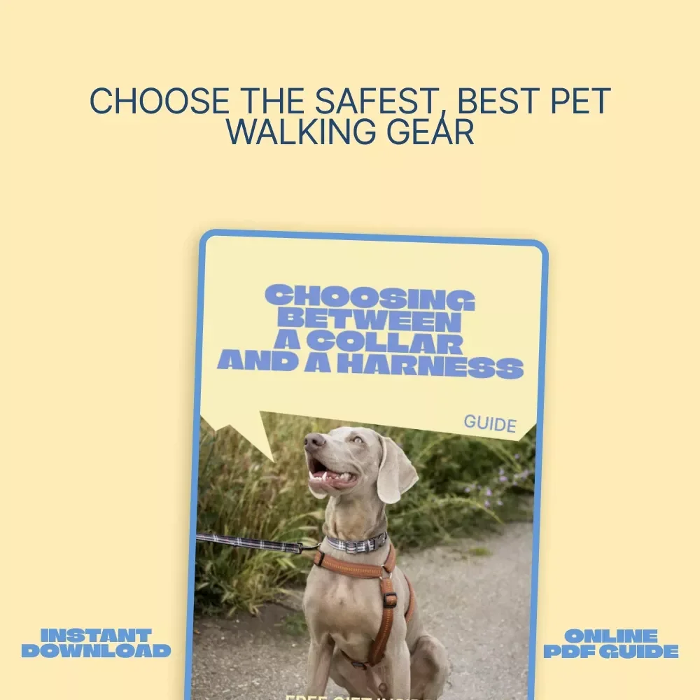 Choosing Between a Collar and a Harness – Practical Pet Owner’s Guide | Smart pet collar vs harness comparison for Safer Walks