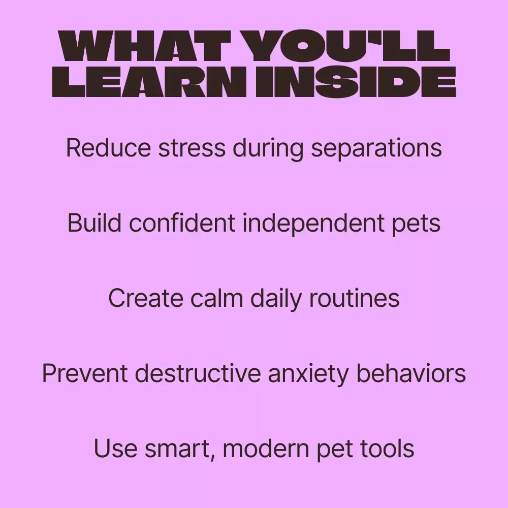 Essential Tips to Ease Your Pet’s Separation Anxiety – Practical Ebook Guide with Separation Anxiety Coping Tips for Calm, Confident Pets