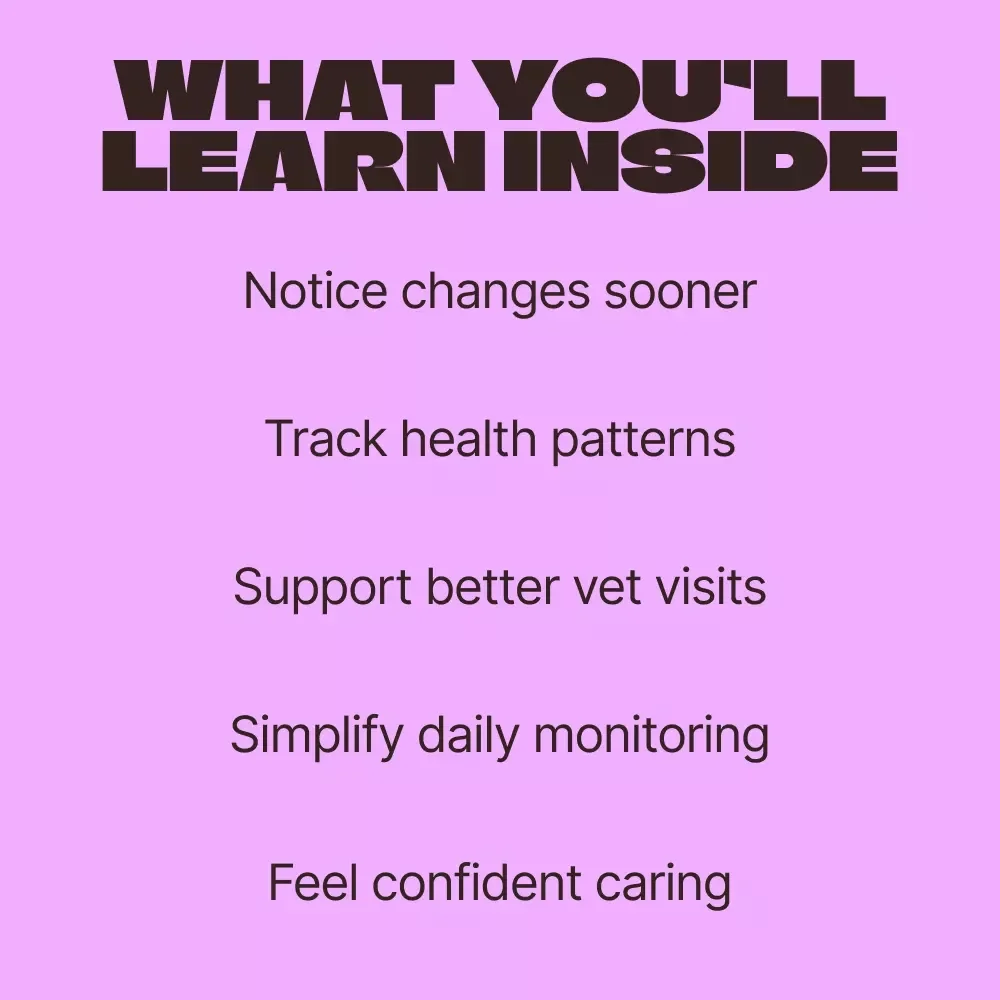 AI Care for Senior Pets, Smarter Health Every Day – Practical eBook Guide to ai senior pet health tracking for Aging Dogs & Cats