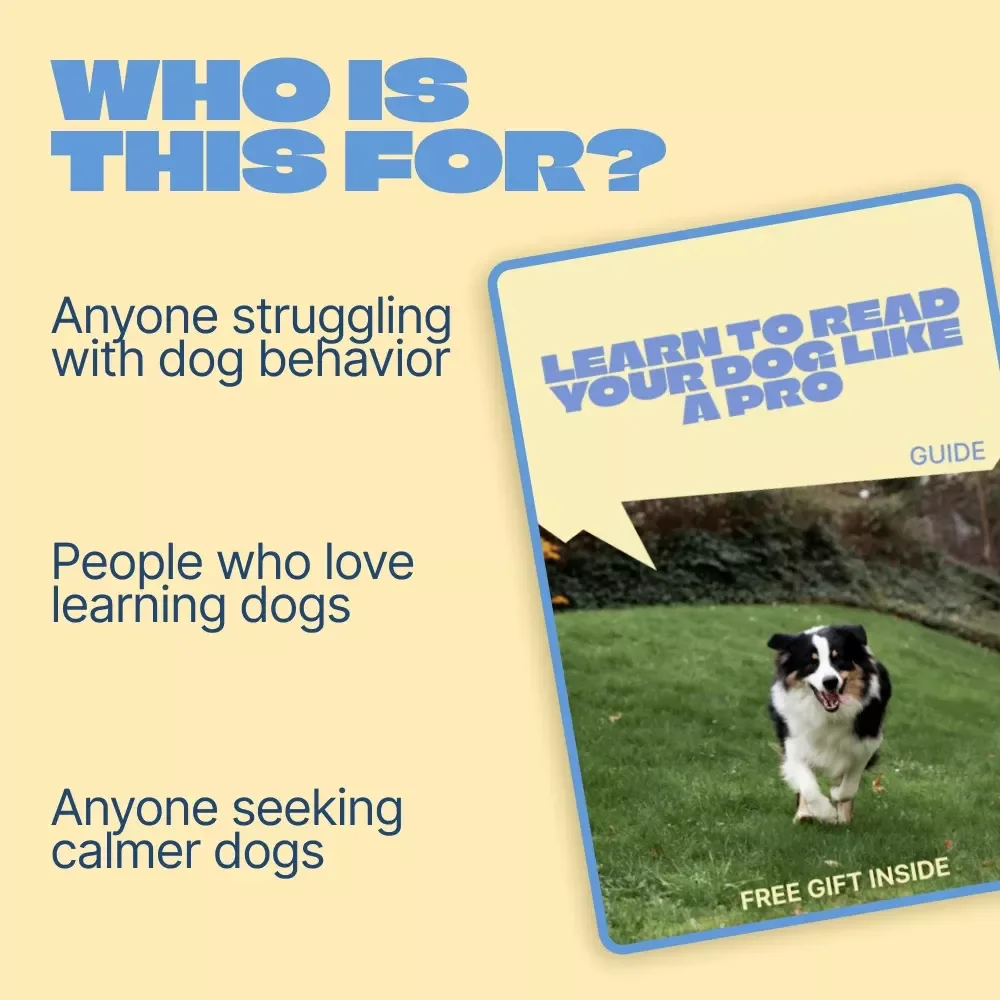 Learn to Read Your Dog Like a Pro – Digital Guide to Understanding Dog Behavior Signals for Calm, Confident Dog Owners