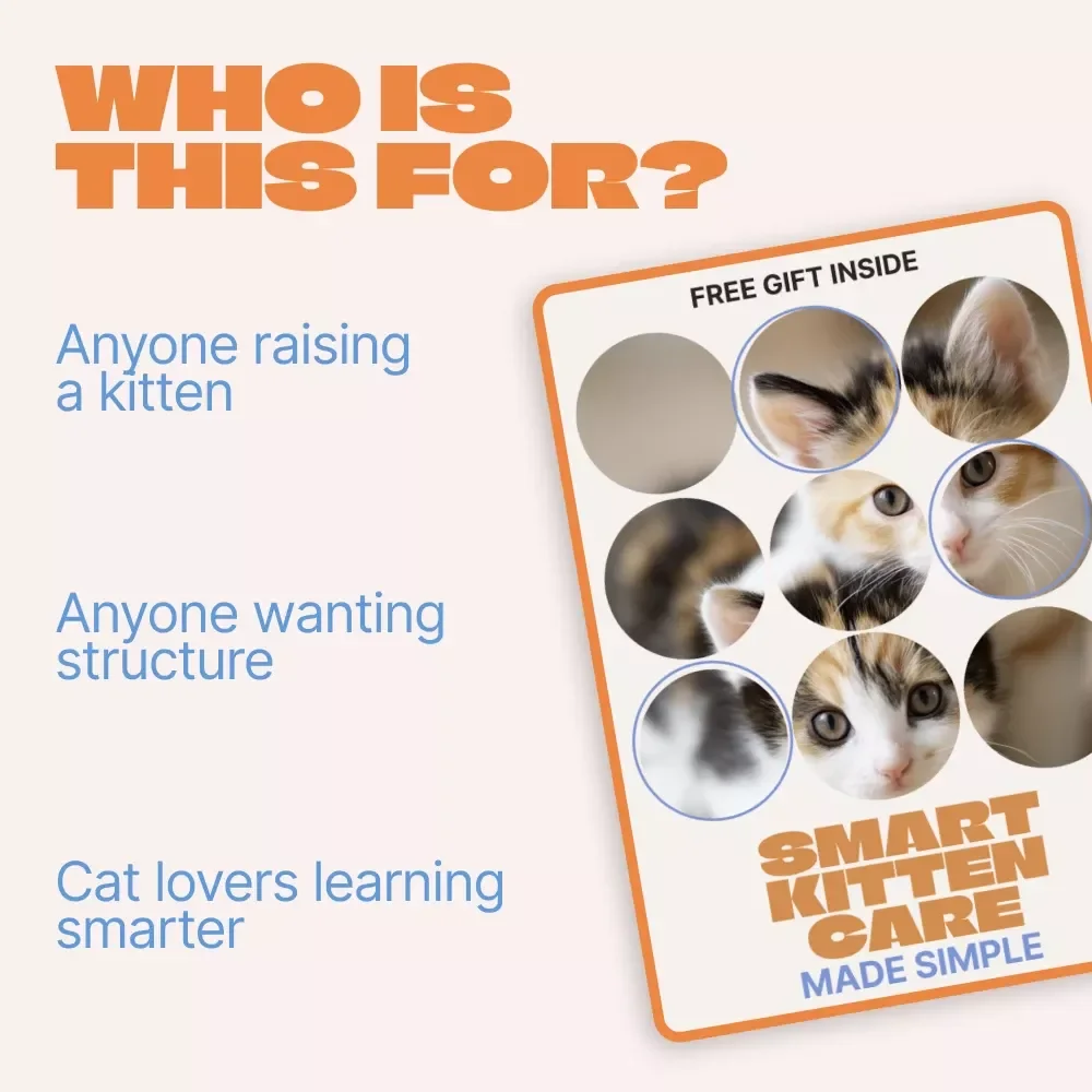 Smart Kitten Care Made Simple – Digital Ebook Guide with AI Kitten Care Planner for New Cat Owners