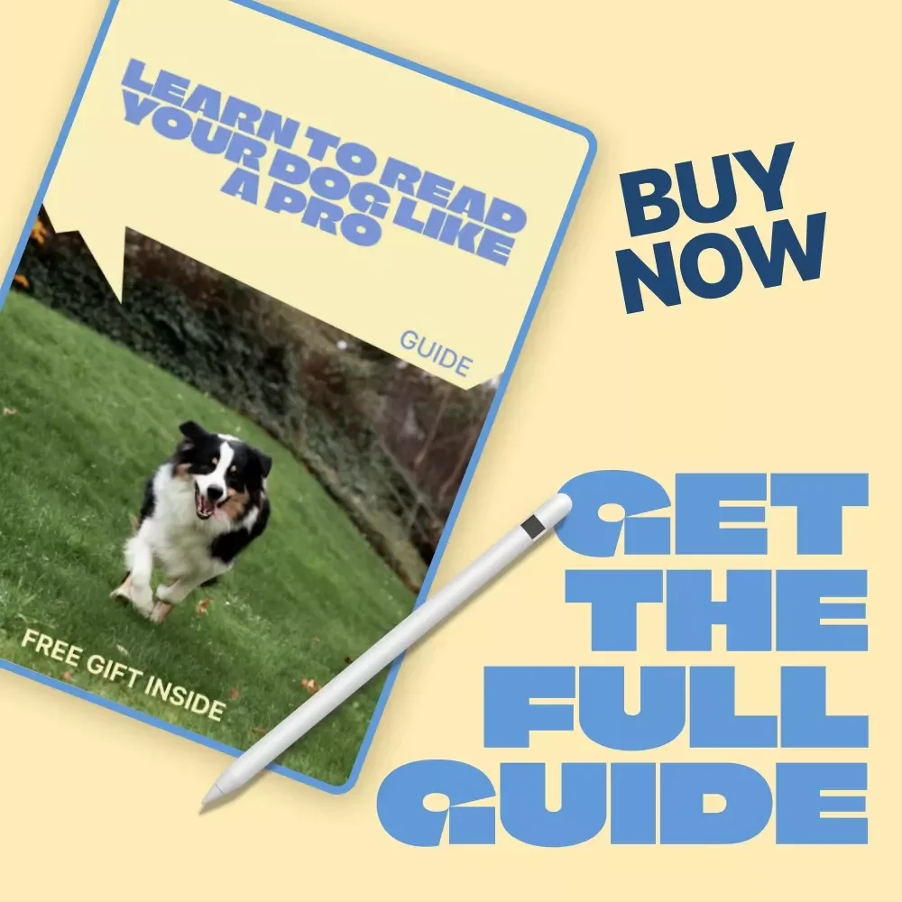 Learn to Read Your Dog Like a Pro – Digital Guide to Understanding Dog Behavior Signals for Calm, Confident Dog Owners