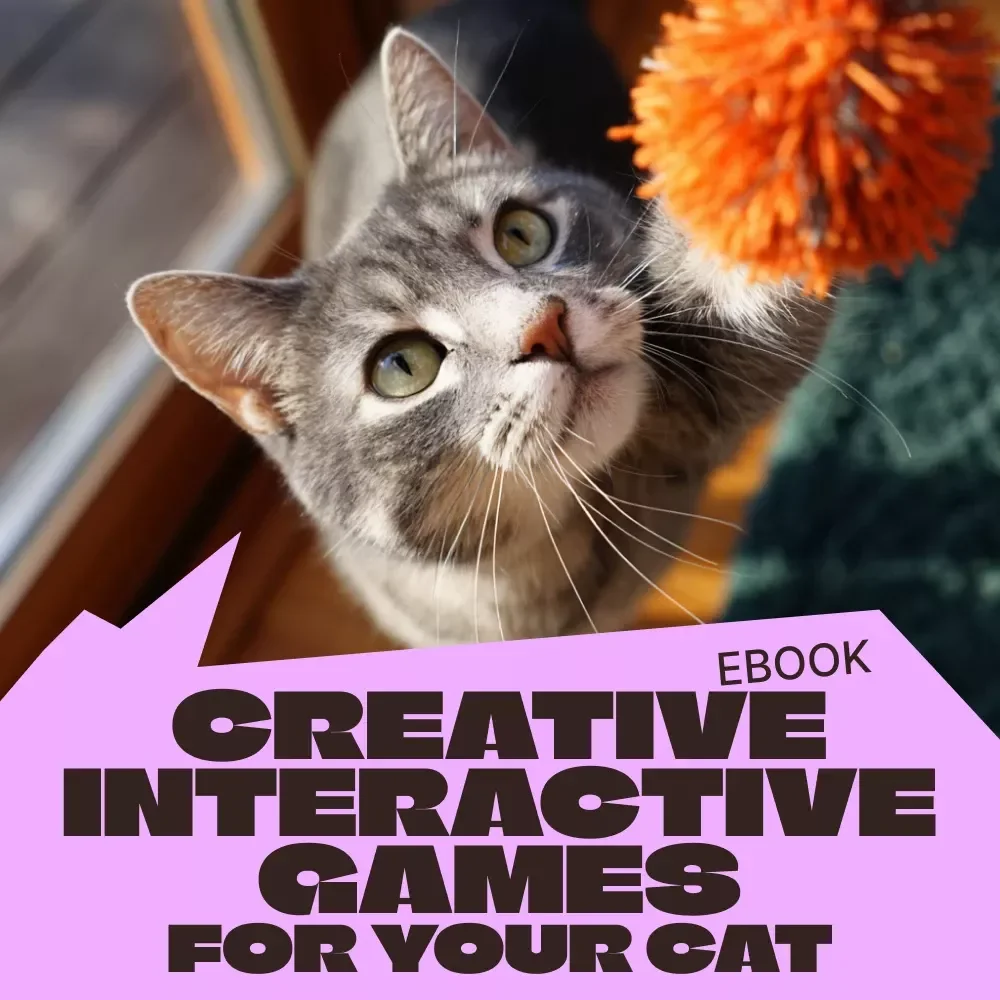 Creative Interactive Games for Your Cat | Ebook for Cat Owners | Interactive Play Ideas for Cats | Enrichment, DIY Toys & Smart Play Guide