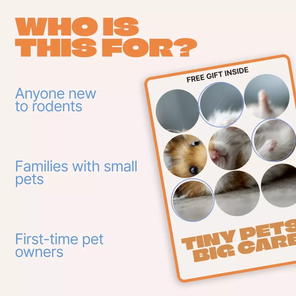 Tiny Pets, Big Care – Beginner Rodent Care Guide | rodent care beginner tips | Easy Setup, Daily Care & Confidence for New Owners