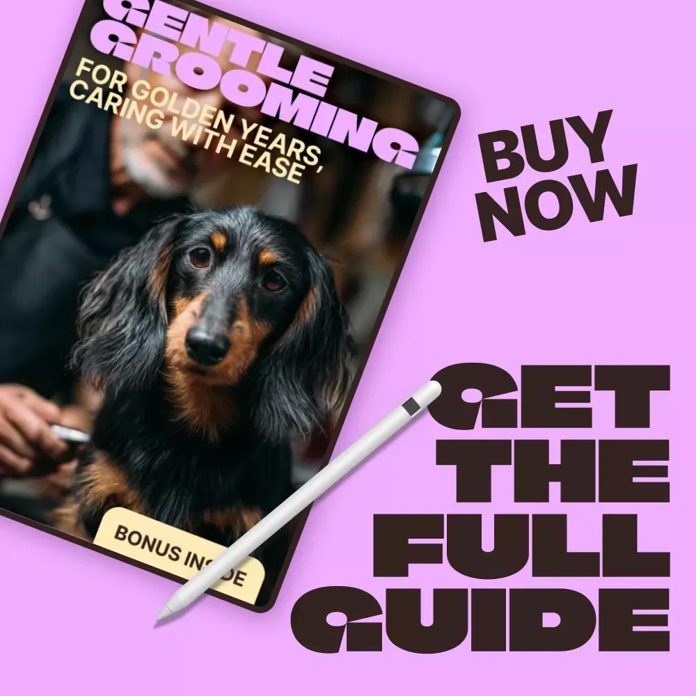 Gentle Grooming for Golden Years, Caring With Ease – Senior Pet Grooming Guide for Understanding Senior Pet Grooming Needs