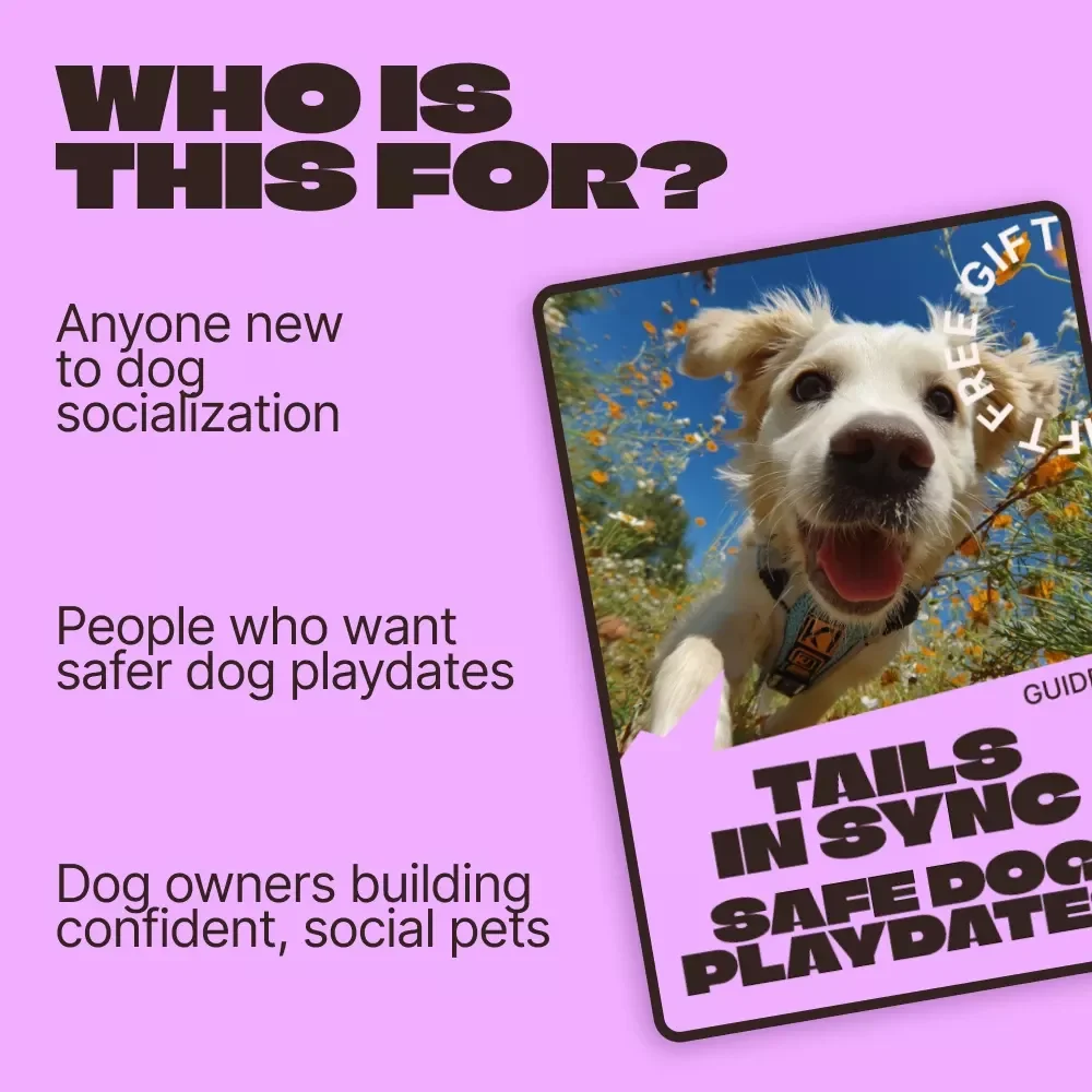Tails in Sync: Safe Dog Playdates | Ultimate Guide to Playdates for Dogs Rules, Calm Introductions & Happy Social Time