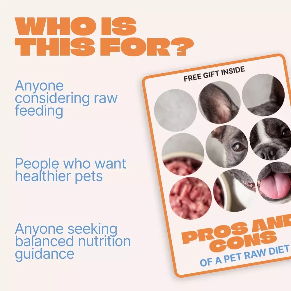 Pros and Cons of a Pet Raw Diet – Practical eBook Guide to raw diet pros and cons pets, Feeding Decisions, Safety & Nutrition