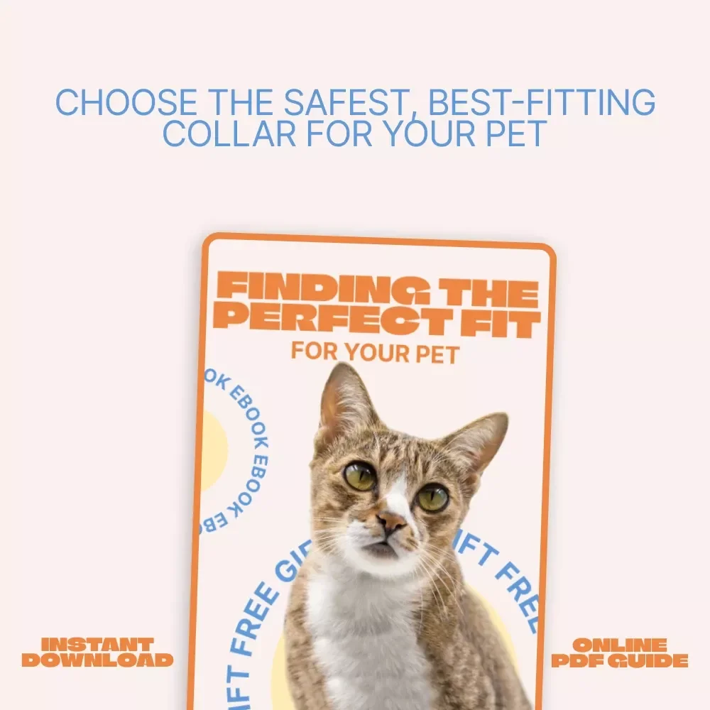 Finding the Perfect Fit for Your Pet – Complete eBook Guide on How to Choose a Pet Collar, Sizing, Safety & Style for Dogs and Cats