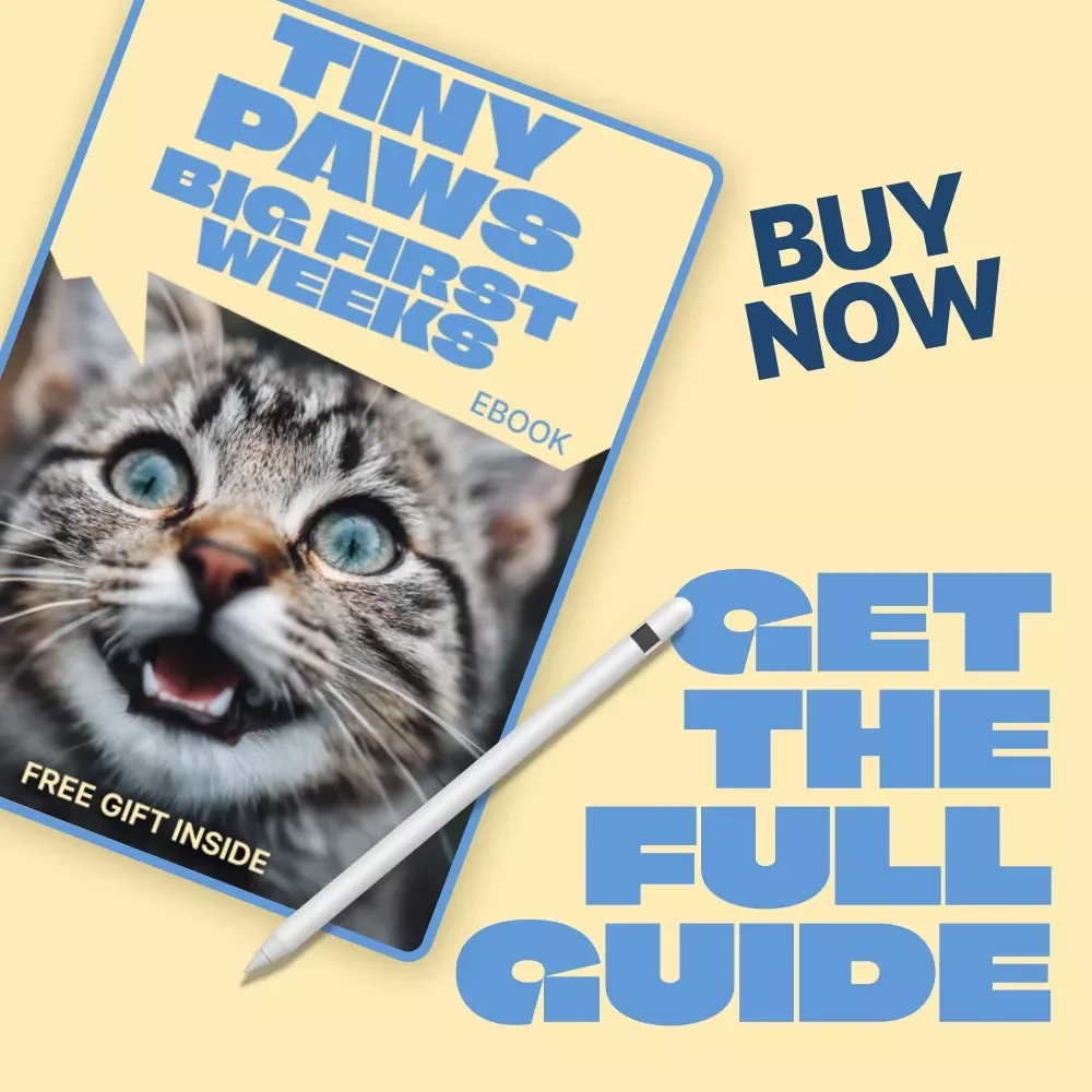 Tiny Paws, Big First Weeks – Kitten Care First 8 Weeks eBook Guide for Newborn Kittens, Feeding, Health & Early Development