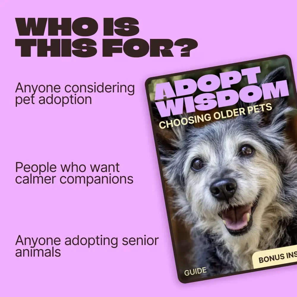 Adopt Wisdom: Choosing Older Pets | Heartfelt Guide to adopting older pet pros cons & Confident Senior Pet Adoption