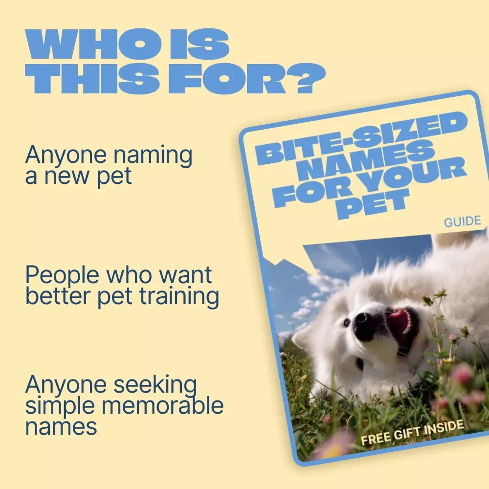 Bite-Sized Names for Your Pet – A Smart Guide to Short Pet Names That Work | Easy, Memorable & Train-Friendly Naming Guide