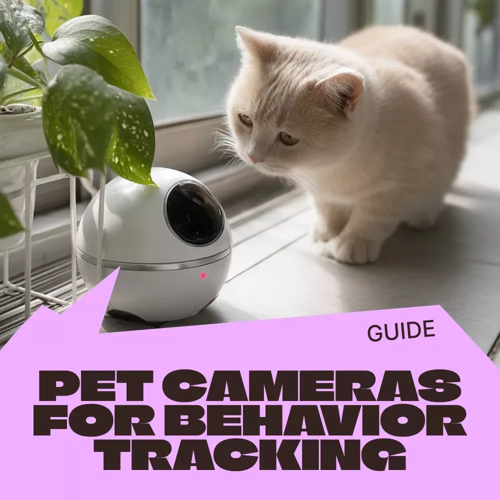 Tracking Your Pet’s Behavior with Cameras – Practical Guide to Pet Cameras for Behavior Tracking, Smart Monitoring & Training Insights (Digital Download)