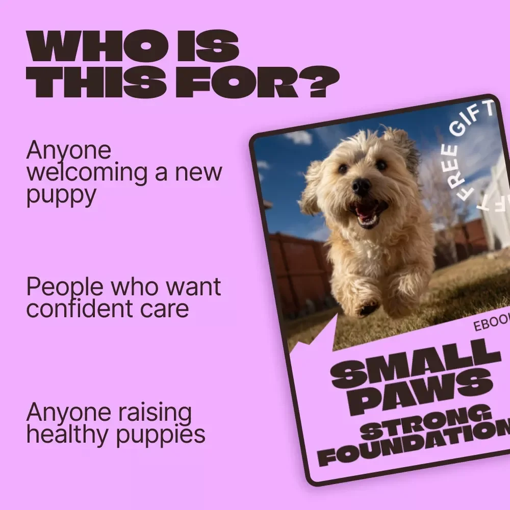 Small Paws, Strong Foundations – Puppy Care First 8 Weeks eBook for New Dog Owners | Essential Early Puppy Guide & Checklist