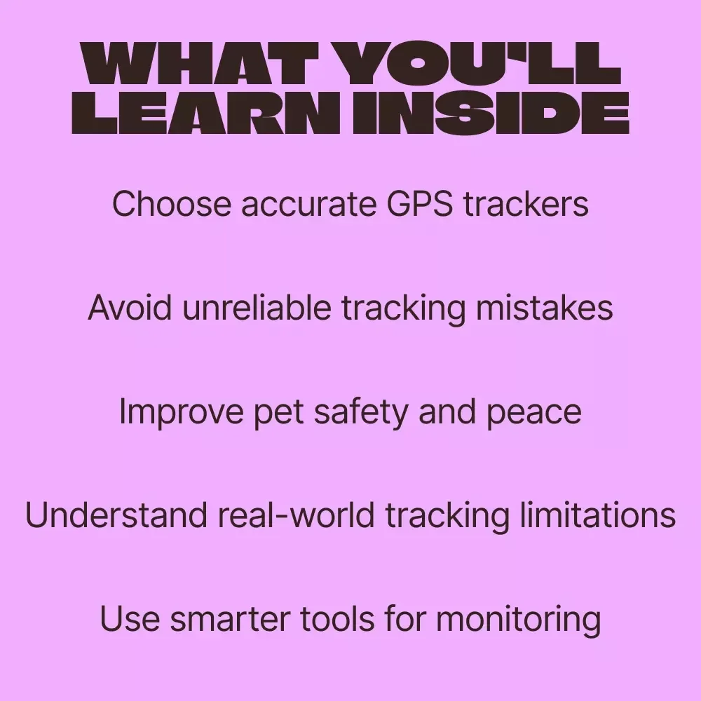 GPS Tracker Accuracy for Your Pet – Complete Guide to Pet GPS Tracker Accuracy, Smart Tracking Tips & Reliable Location Insights