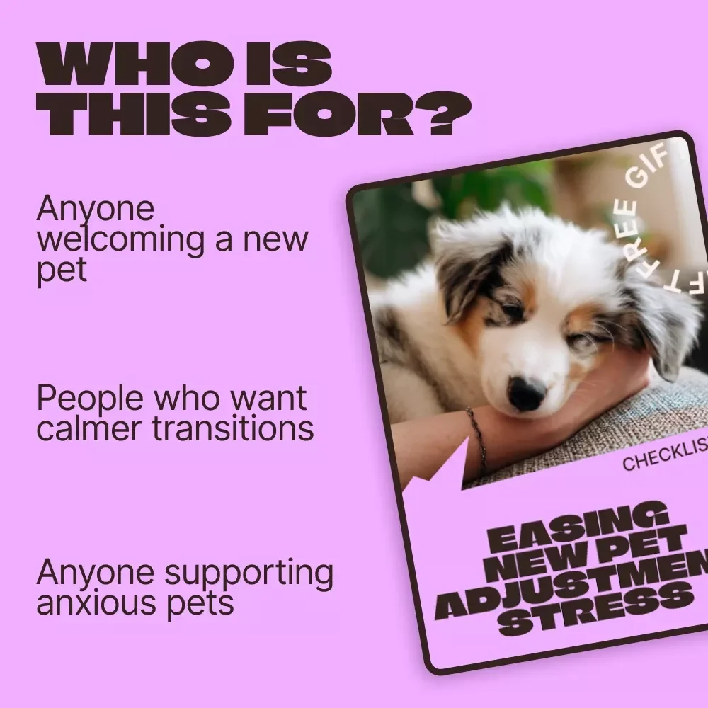 Easing New Pet Adjustment Stress – Printable Checklist for New Pet Parents | Calm Transitions, Day-One Comfort & First Week Stability Guide