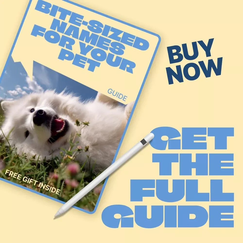 Bite-Sized Names for Your Pet – A Smart Guide to Short Pet Names That Work | Easy, Memorable & Train-Friendly Naming Guide