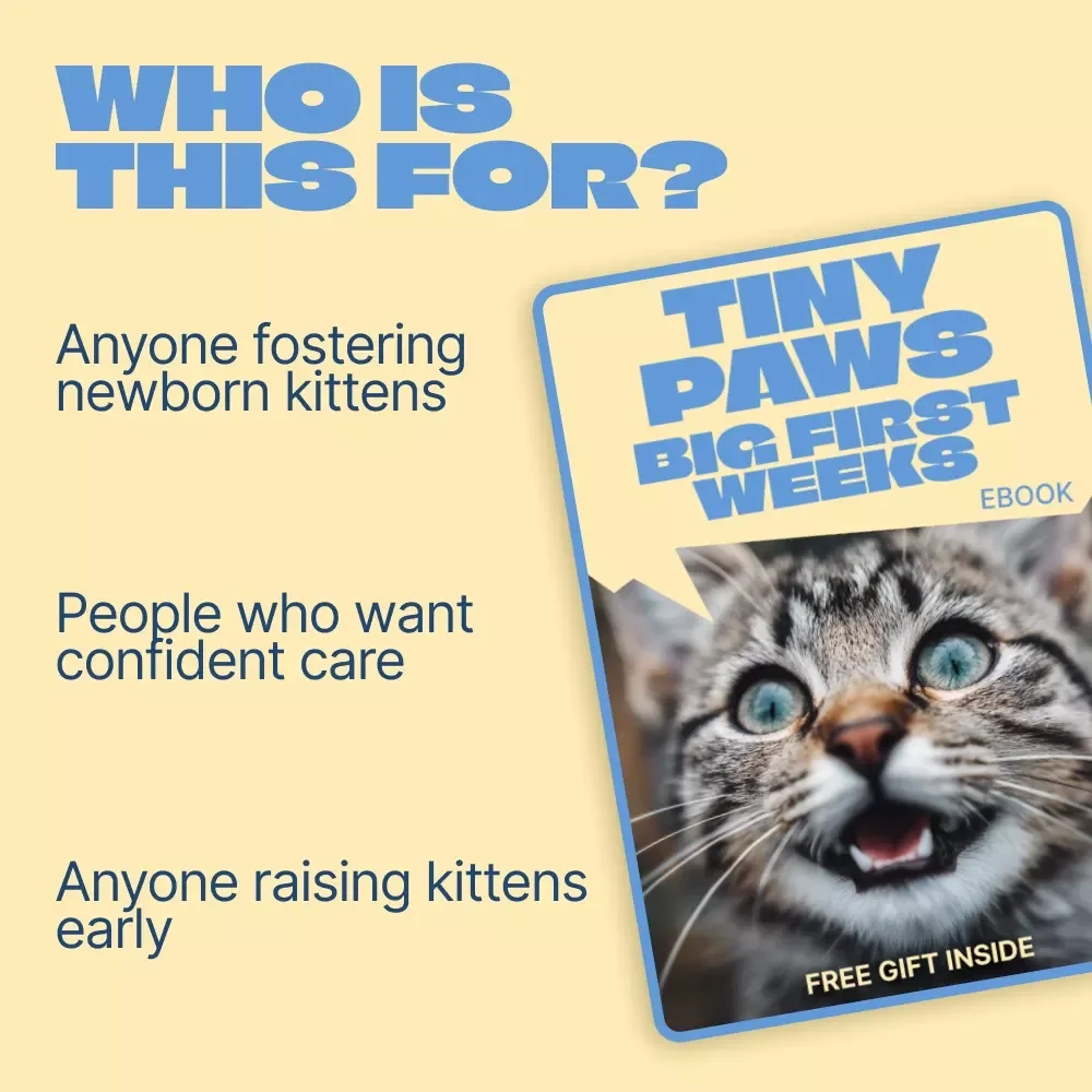 Tiny Paws, Big First Weeks – Kitten Care First 8 Weeks eBook Guide for Newborn Kittens, Feeding, Health & Early Development