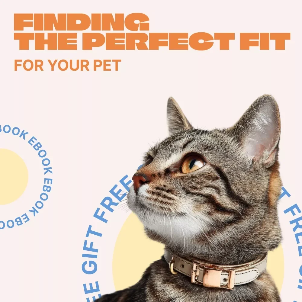 Finding the Perfect Fit for Your Pet – Complete eBook Guide on How to Choose a Pet Collar, Sizing, Safety & Style for Dogs and Cats