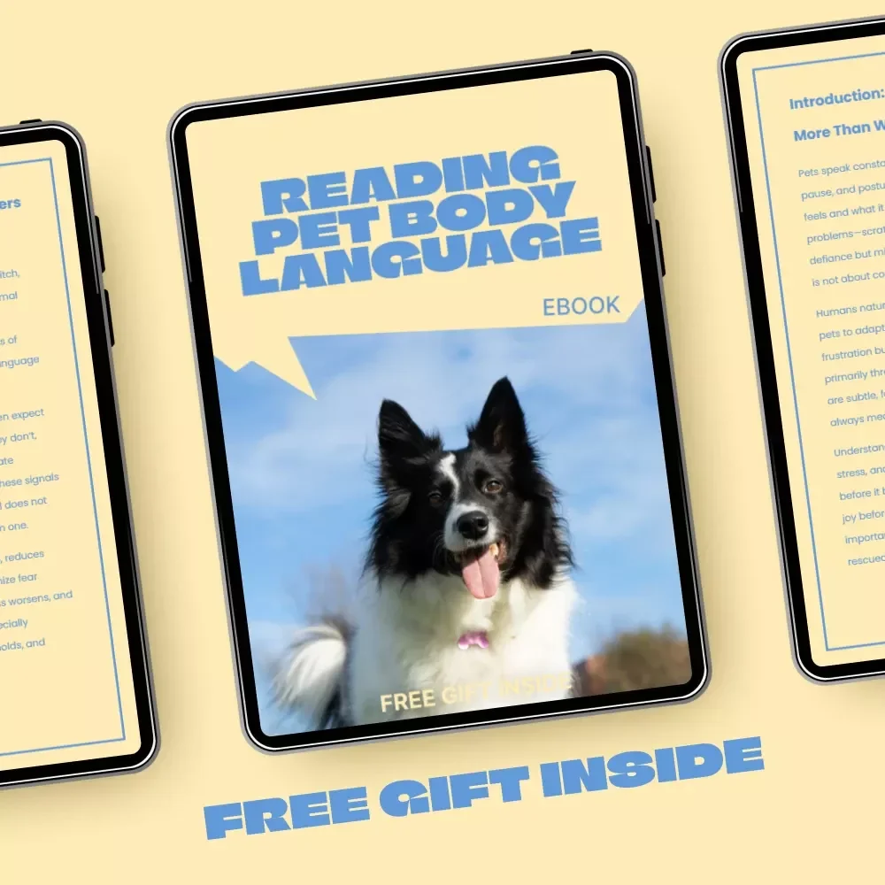 Reading Pet Body Language – A Practical eBook Guide on how to read read pet body language for Dogs, Cats & Small Pets