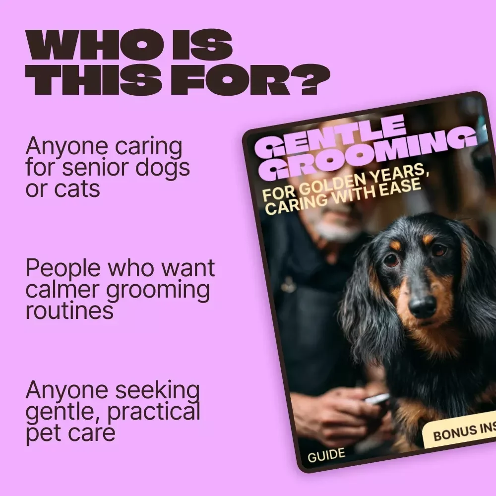 Gentle Grooming for Golden Years, Caring With Ease – Senior Pet Grooming Guide for Understanding Senior Pet Grooming Needs