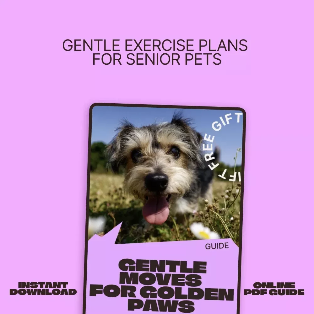 Gentle Moves for Golden Paws – A Practical Guide to Senior Pet Exercise Ideas for Aging Dogs & Cats
