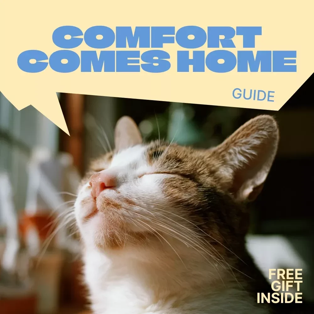 Comfort Comes Home | Gentle Home Adjustments for Aging Pets Guide | Senior Dog & Cat Comfort, Easy Home Setup, Pet Care Digital Download