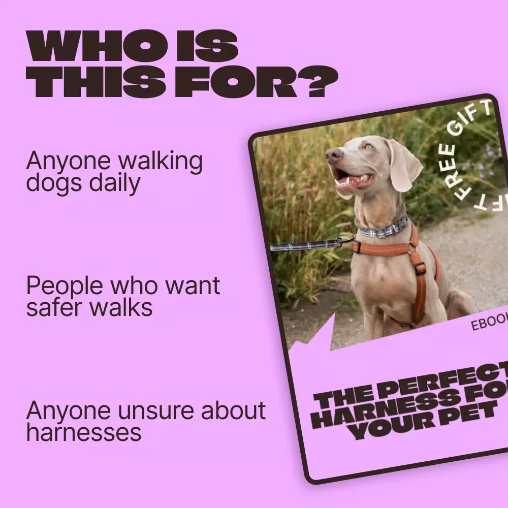 The Perfect Harness for Your Pet | Ebook Guide on How to Choose a Pet Harness | Stress-Free Fit, Comfort & Walking Confidence