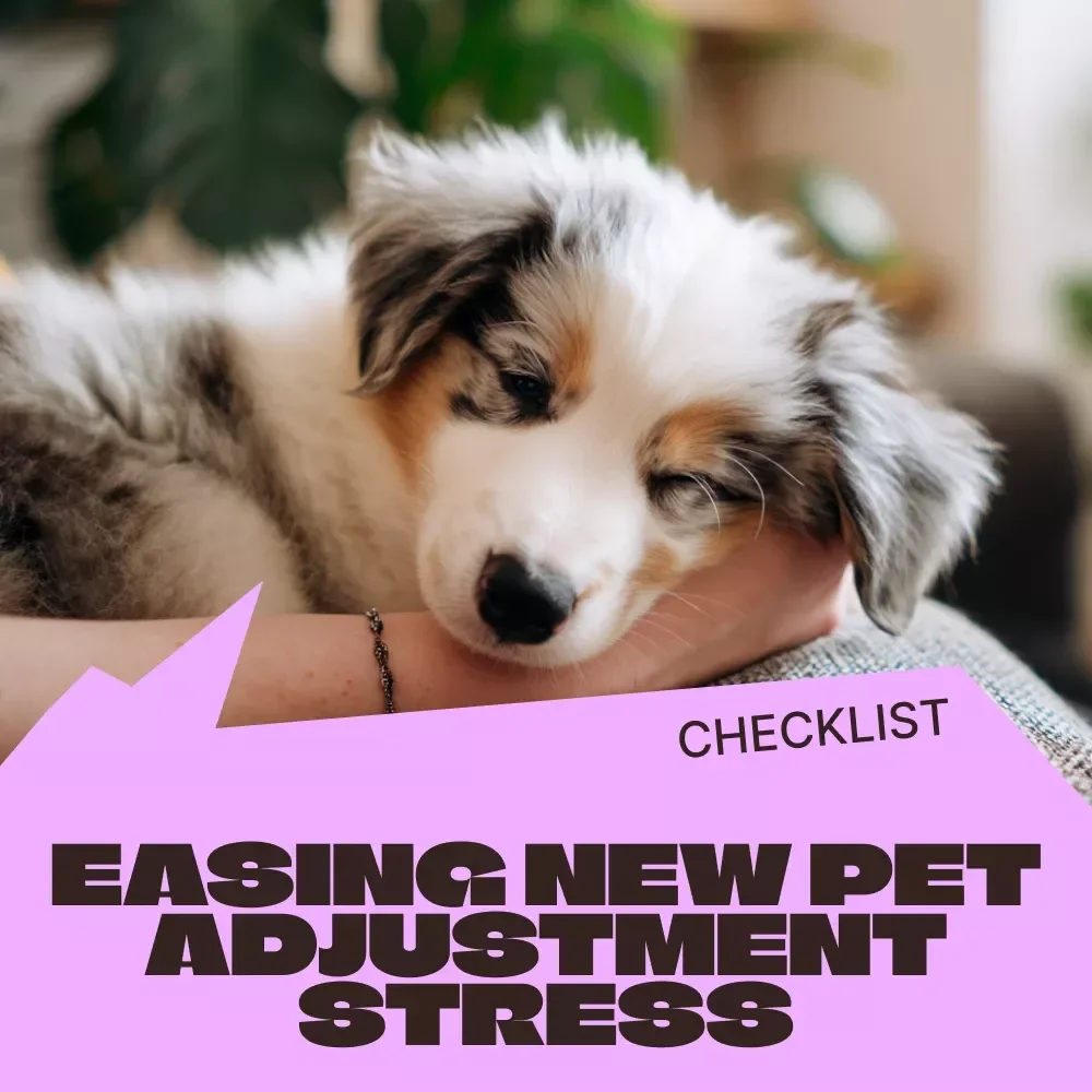 Easing New Pet Adjustment Stress – Printable Checklist for New Pet Parents | Calm Transitions, Day-One Comfort & First Week Stability Guide