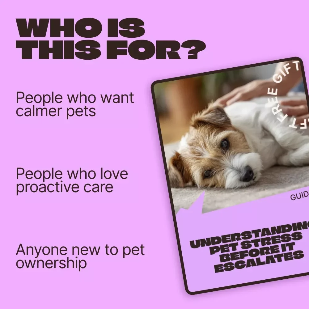 Understanding Pet Stress Before It Escalates – A Practical Guide for Pet Owners | pet stress symptoms explained | Digital Download