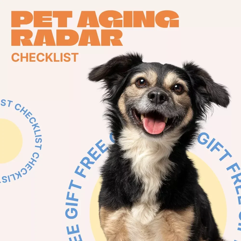 Pet Aging Radar | Printable Pet Aging Checklist | Easy Guide to Spot Signs of Aging in Pets | Senior Dog & Cat Care Download