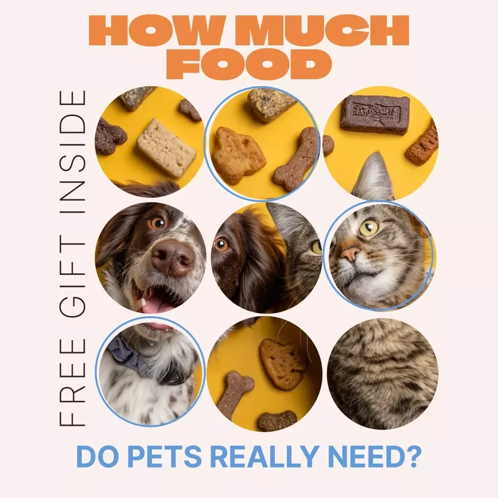 How Much Food Do Pets Really Need – Easy Feeding Checklist for Dogs & Cats, Portion Control Guide, Pet Meal Planning Download