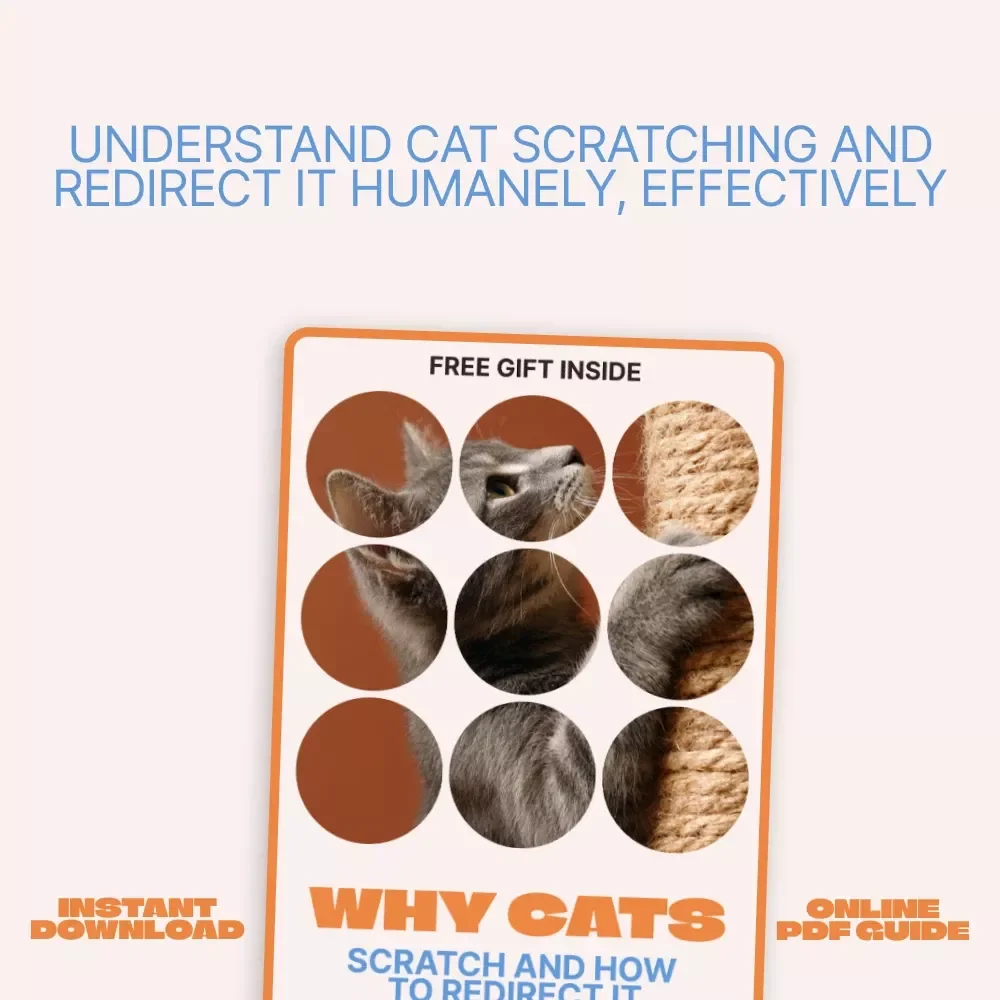 Why Cats Scratch and How to Redirect It | Practical Cat Behavior eBook Explaining Why Cats Scratch Furniture & How to Stop It