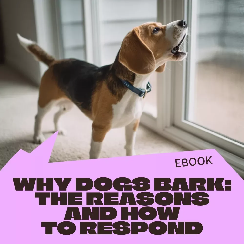 Why Dogs Bark: The Reasons and How to Respond | Dog Barking Reasons Explained eBook | Understand, Train & Calm Excessive Barking