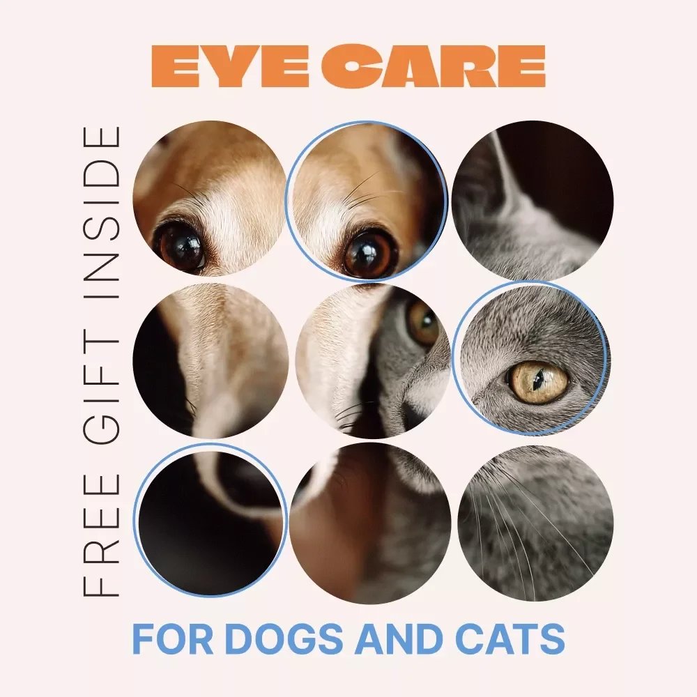 Essential Eye Care for Dogs and Cats – Practical Guide to Eye Care Basics for Pets, Daily Cleaning Routines & Smart Eye Health Tips (Digital Download)