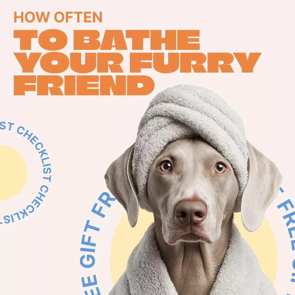How Often to Bathe Your Furry Friend – Easy Pet Grooming Checklist | How Often to Bathe Pets Guide