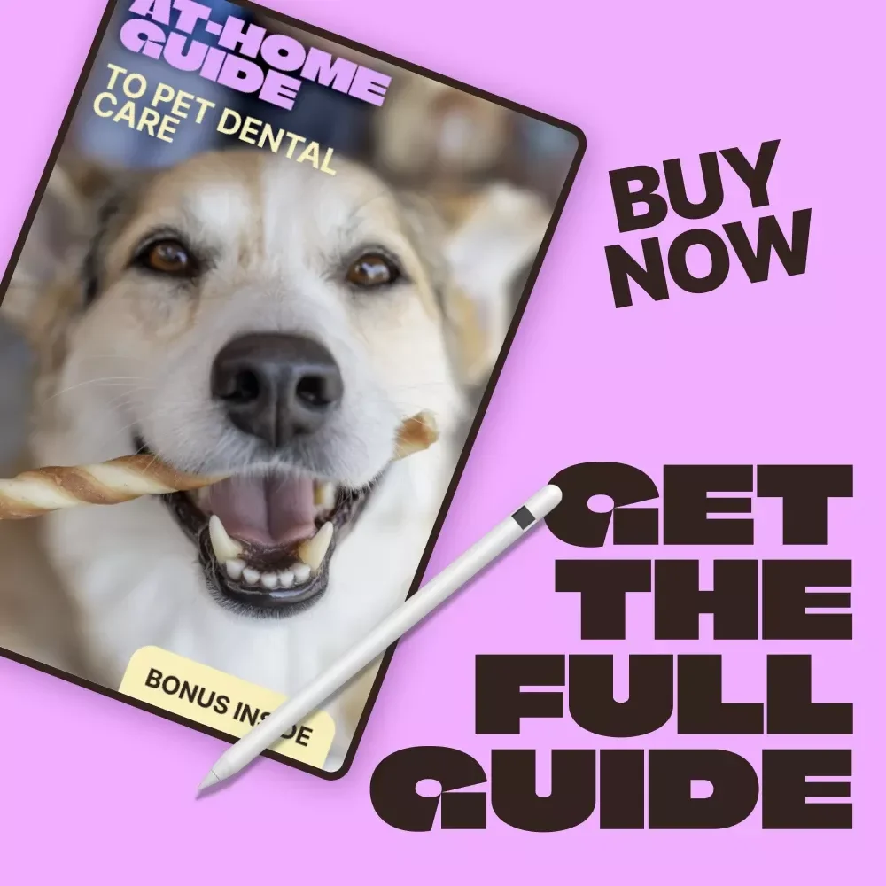 At-Home Guide to Pet Dental Care | Simple Pet Dental Care at Home Routine for Healthier Teeth & Happier Pets