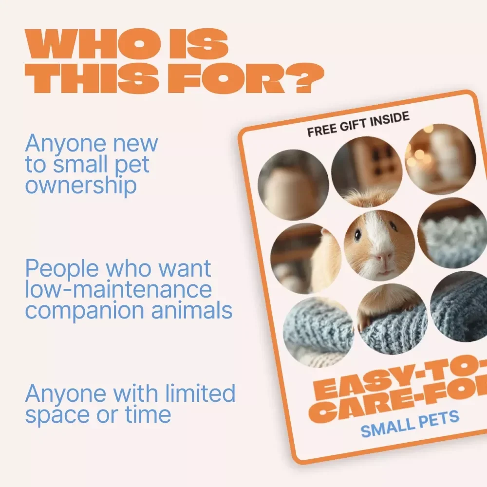 Easy-to-Care-For Small Pets – Beginner-Friendly Guide to Small Pets That Are Easy to Care For, Smart Pet Choices for Busy Lifestyles