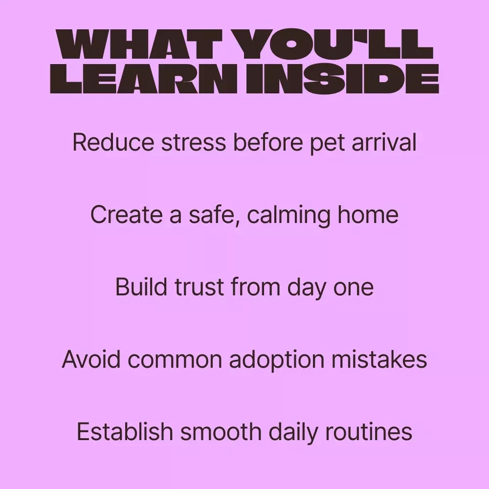 Home Ready, Pet Happy | A Practical eBook for Preparing Home for Adopted Pet, Stress-Free Transitions & Confident New Pet Parents