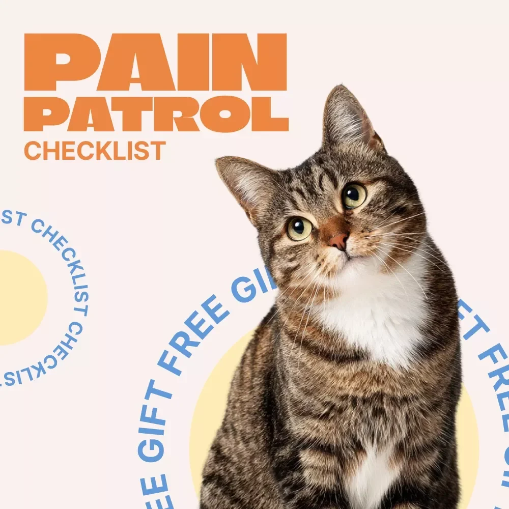 Pain Patrol – Printable Checklist for Spotting Pain Signs in Older Pets | Senior Dog & Cat Wellness Tracker