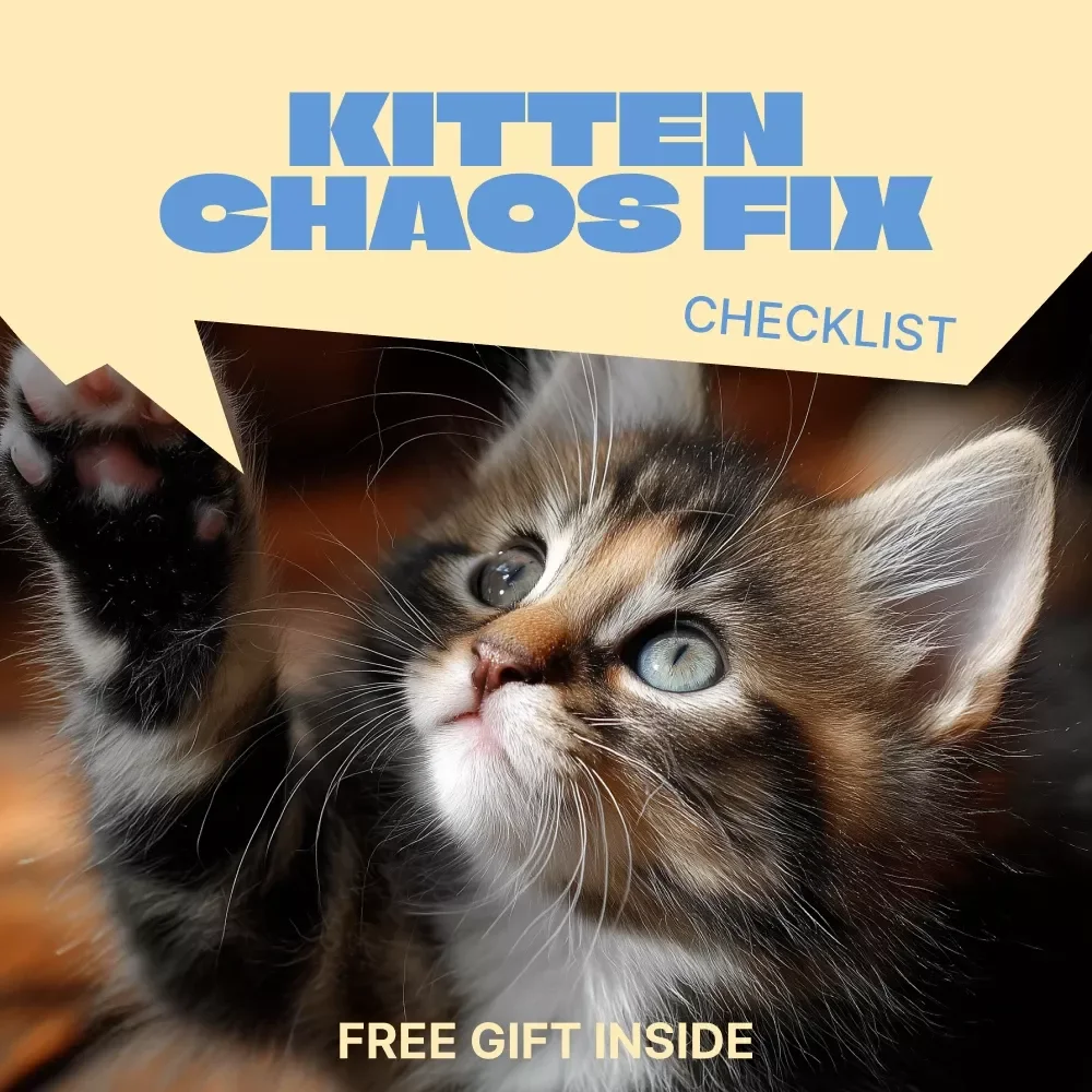 Kitten Chaos Fix | Checklist for common kitten behavior problems | Instant Digital Download for New Cat Parents