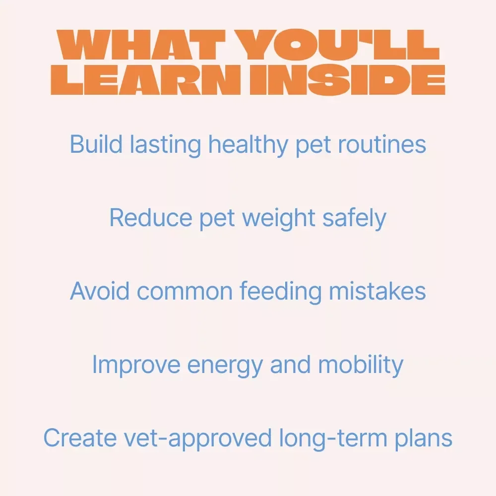 Sustainable Pet Weight Management Tips | Practical Guide for Healthy Pets, Smart Feeding & Long-Term Results | Easy Pet Weight Management Tips for Dogs & Cats