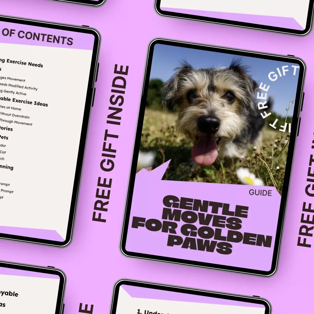 Gentle Moves for Golden Paws – A Practical Guide to Senior Pet Exercise Ideas for Aging Dogs & Cats